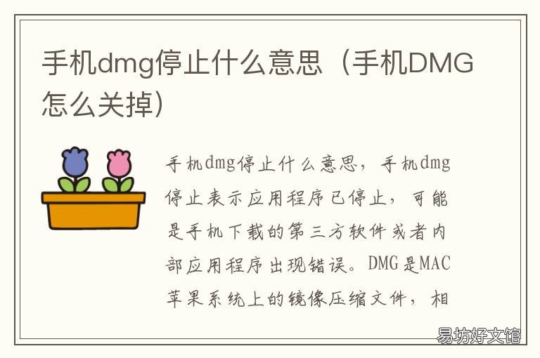 手机dmg停止什么意思 dmg已停止怎么办