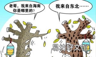 水土不服怎么办 婴儿水土不服怎么办