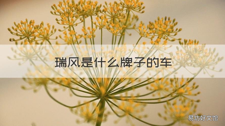 瑞风是什么牌子的车 瑞风有哪些车型