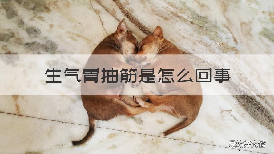 生气胃抽筋是怎么回事 生气浑身抽筋是怎么回事