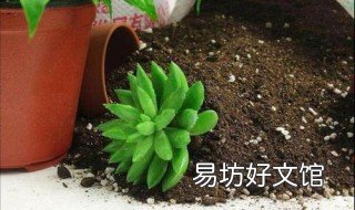 家庭养花用什么样的土最好 养花最好用什么土养