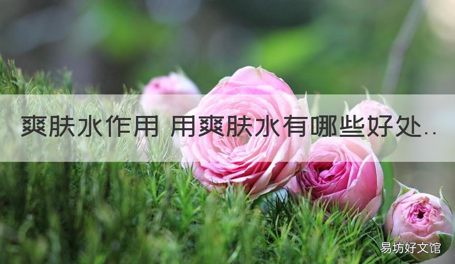 爽肤水作用 用爽肤水有哪些好处 爽肤水有啥用