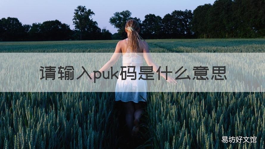 请输入puk码是什么意思 请输入PUK码