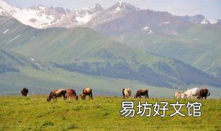 新疆旅游注意事项 新疆旅游注意事项最新