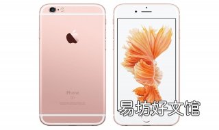 苹果和iphone的区别 苹果和iPhone有什么区别