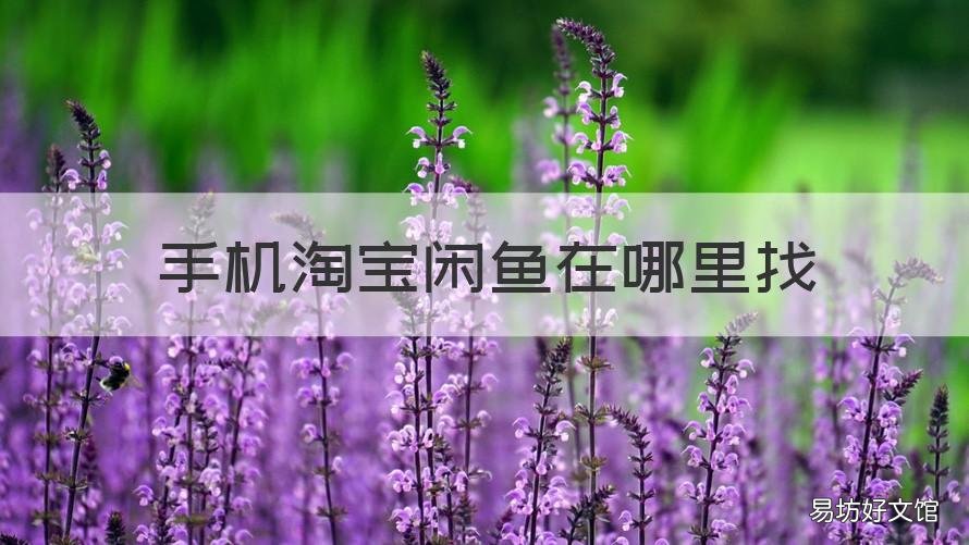 手机淘宝闲鱼在哪里找 手机淘宝闲鱼在哪里找到