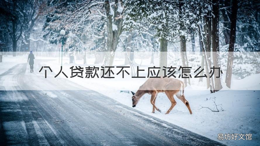 个人贷款还不上应该怎么办 如果个人贷款还不上的话会如何
