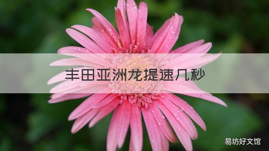 丰田亚洲龙提速几秒 丰田亚洲龙破百几秒