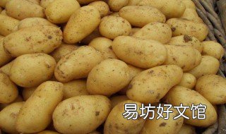 土豆种植方法步骤 土豆种植的方法