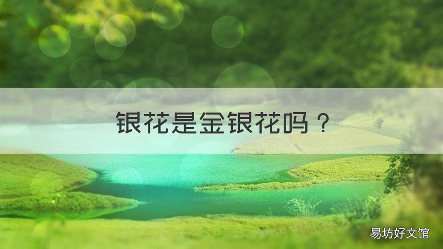 银花是金银花吗 金银花是花吗?