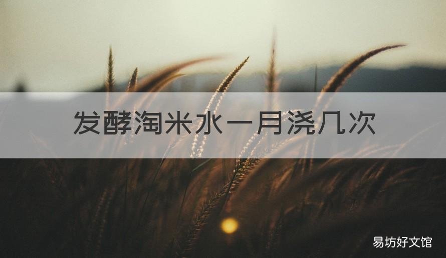 发酵淘米水一月浇几次 淘米水要发酵多少天才能浇花
