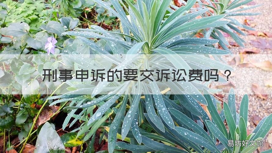 刑事申诉的要交诉讼费吗 申诉案件需要交诉讼费吗