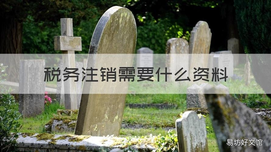 税务注销需要什么资料 公司税务注销需要什么材料