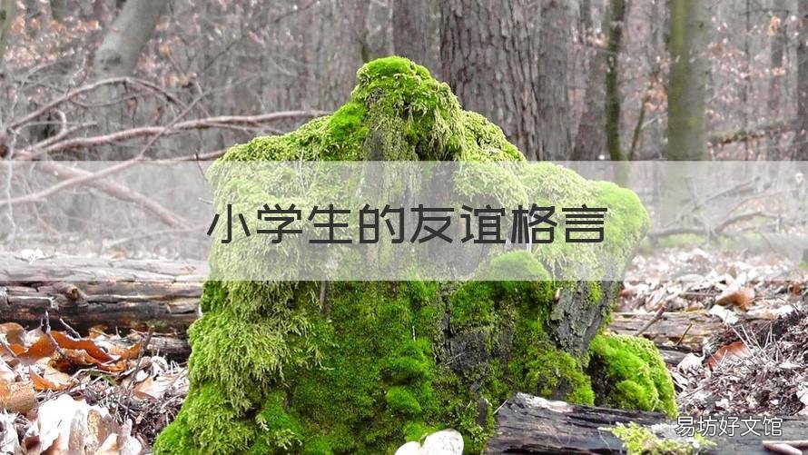 小学生的友谊格言 小学生的友谊格言简短
