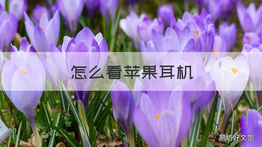 怎么看苹果耳机 怎么看苹果耳机充电盒是否在充电