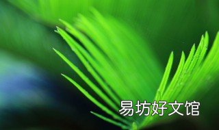 铁树叶的功效与作用 铁树叶的功效与作用癌症