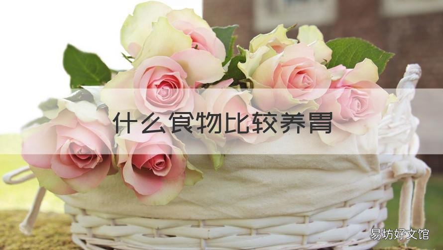 什么食物比较养胃 什么食物比较养胃.对肠道较好