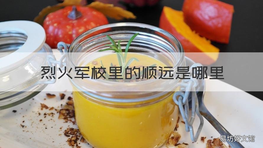烈火军校里的顺远是哪里 烈火军校奉安顺远
