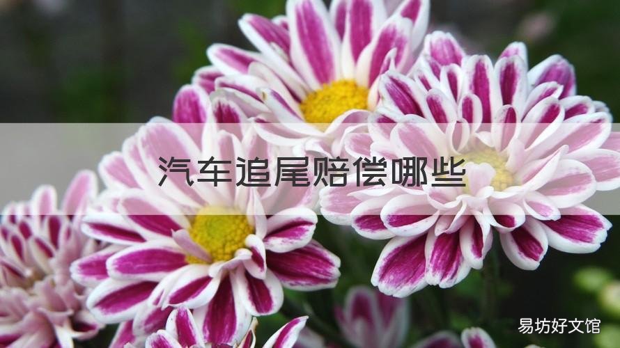 汽车追尾赔偿哪些 汽车追尾严重一般赔偿多少