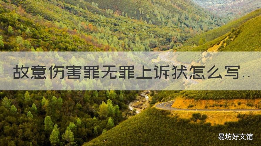 故意伤害罪无罪上诉状怎么写 故意伤害罪民事诉讼状