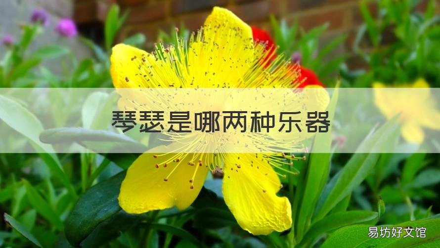 琴瑟是哪两种乐器 琴瑟和鸣中的琴瑟是哪两个乐器
