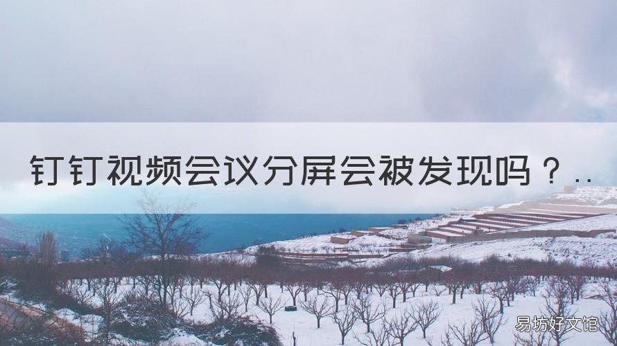 钉钉视频会议分屏会被发现吗 钉钉视频会议时分屏会被发现吗