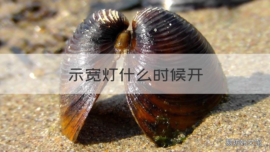 示宽灯什么时候开 车尾示宽灯什么时候开