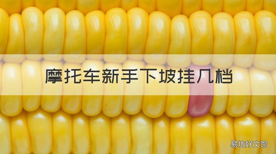 摩托车新手下坡挂几档 摩托车新手下坡挂几档要油不