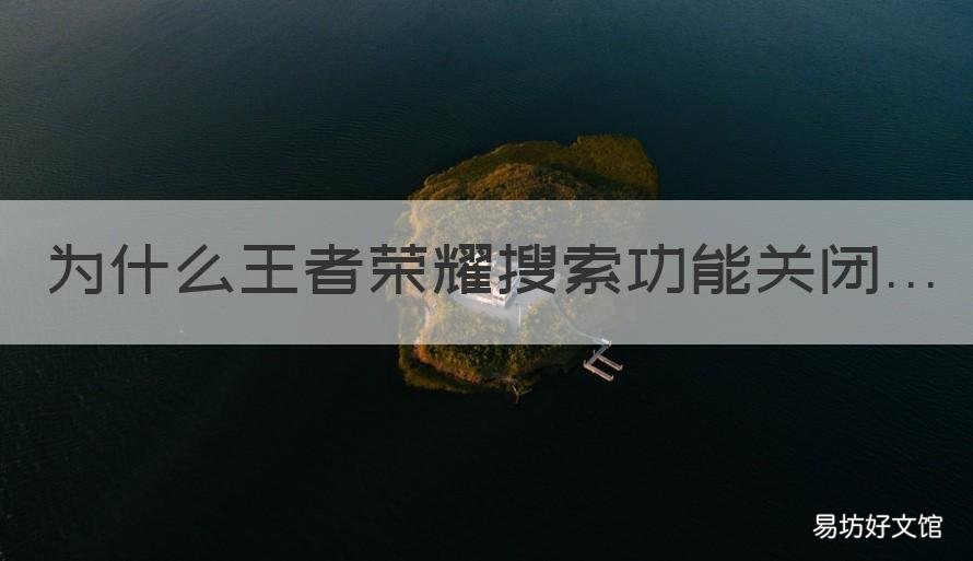 为什么王者荣耀搜索功能关闭. 王者搜索功能关闭是什么意思