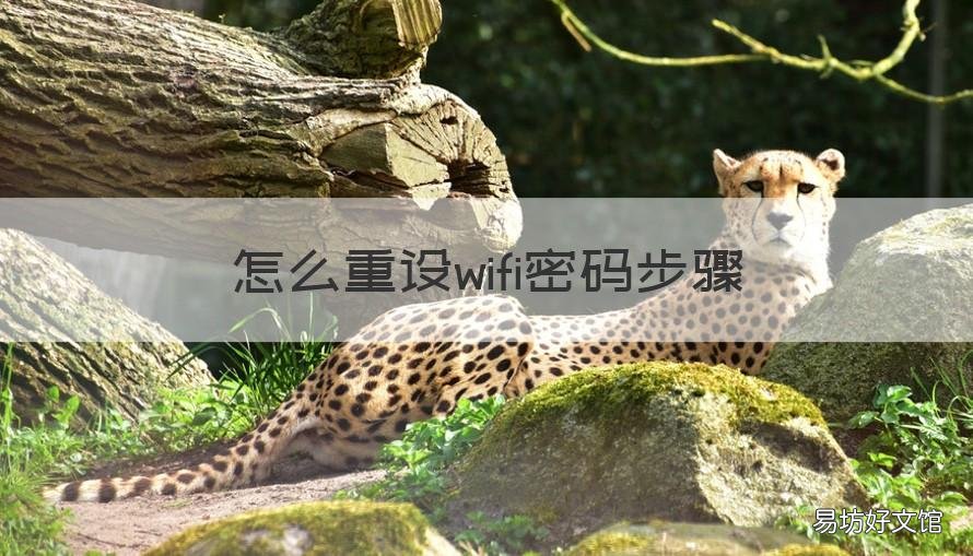 怎么重设wifi密码步骤 怎样重设wifi密码?
