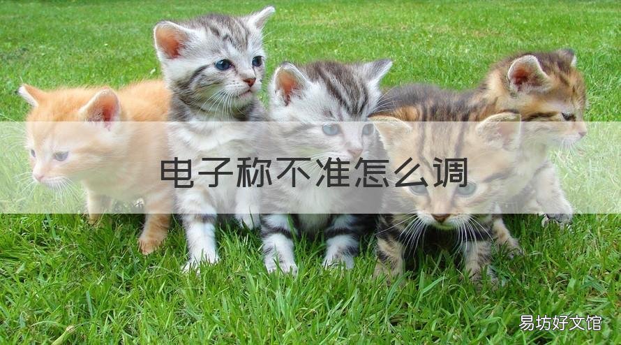 电子称不准怎么调 脚踩电子秤不准怎么调