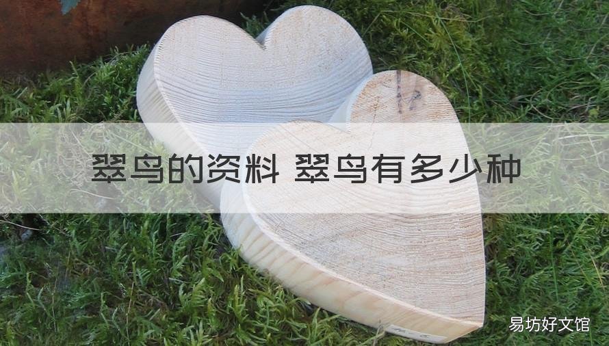 翠鸟的资料 翠鸟有多少种 翠鸟品种大全及图片