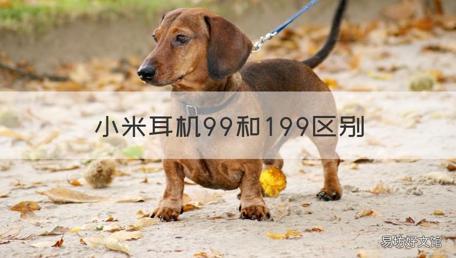 小米耳机99和199区别 小米蓝牙耳机199和399哪个好