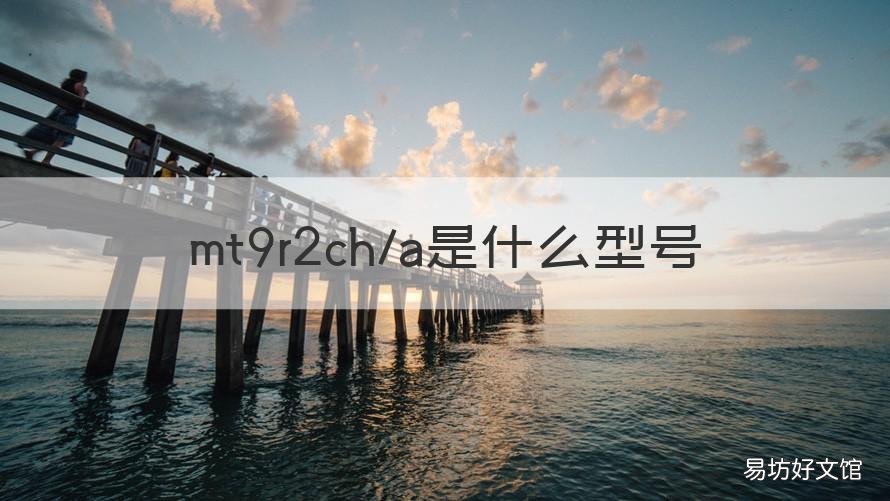 mt9r2ch/a是什么型号