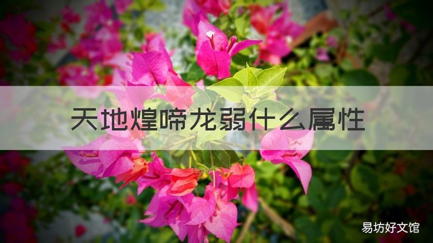 天地煌啼龙弱什么属性 天地煌啼龙的套装效果没用