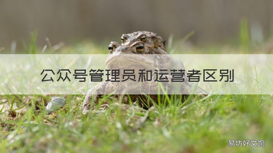 公众号管理员和运营者区别 微信公众号管理员和运营者的区别