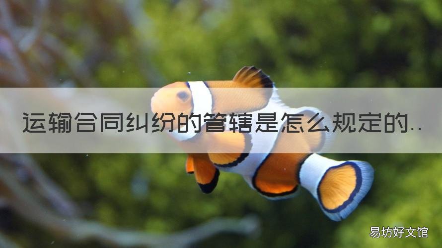 运输合同纠纷的管辖是怎么规定的