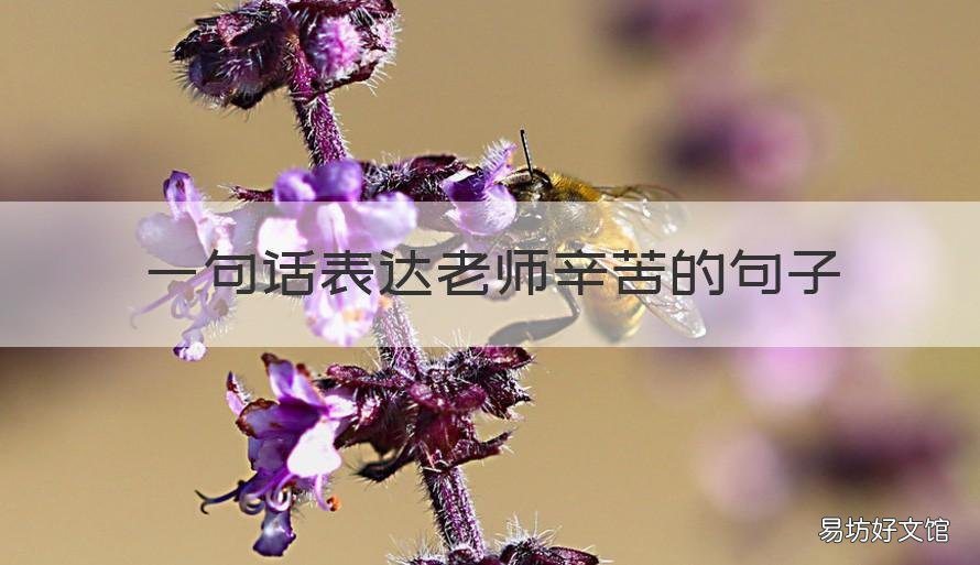 一句话表达老师辛苦的句子 体现出老师辛苦的句子