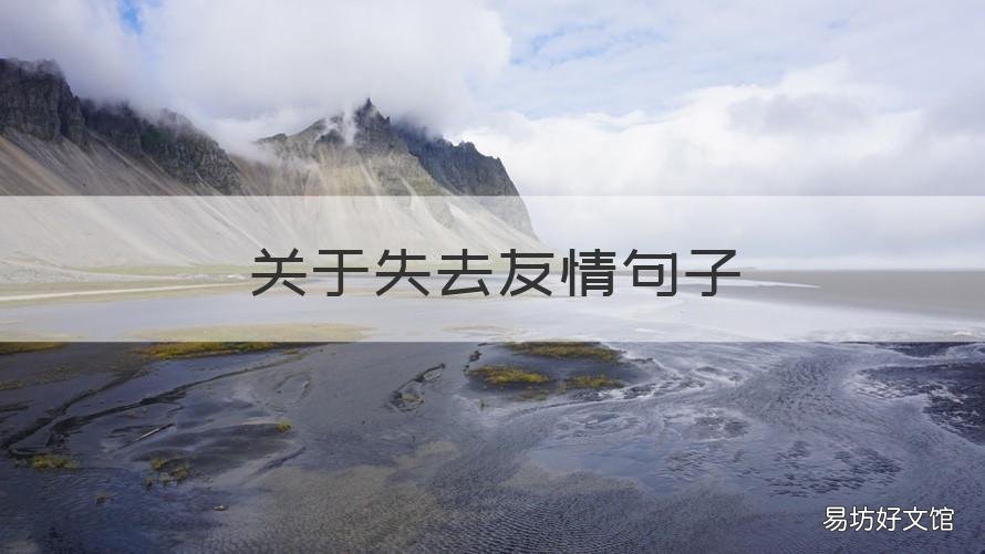 关于失去友情句子 失去友情的句子唯美简短