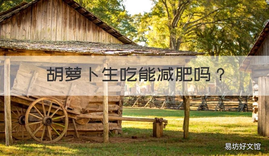 胡萝卜生吃能减肥吗