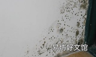 墙壁发霉怎么办 洗手间墙壁发霉怎么办