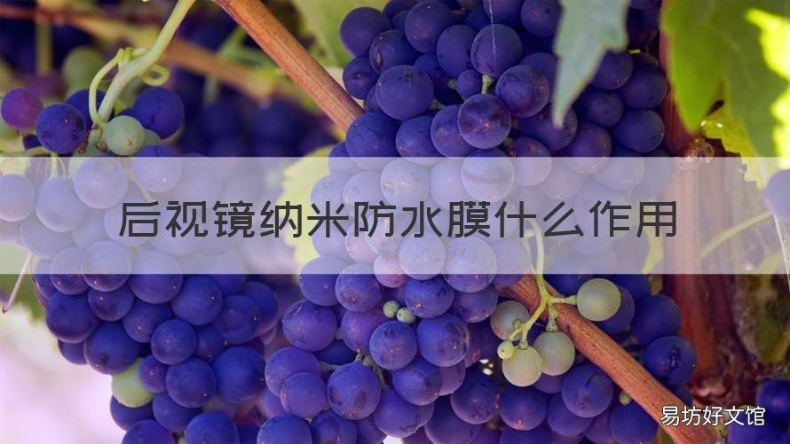 后视镜纳米防水膜什么作用 后视镜有加热功能能贴防水膜吗
