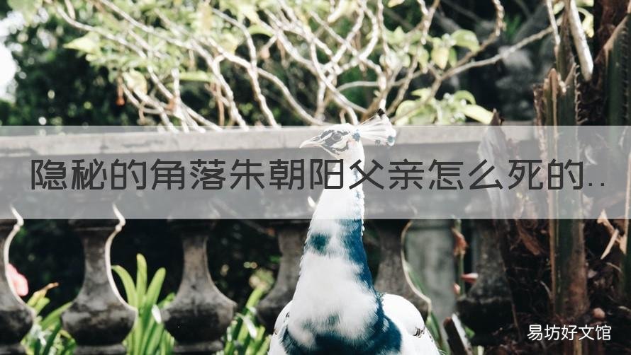 隐秘的角落朱朝阳父亲怎么死的 朱朝阳爸爸的死