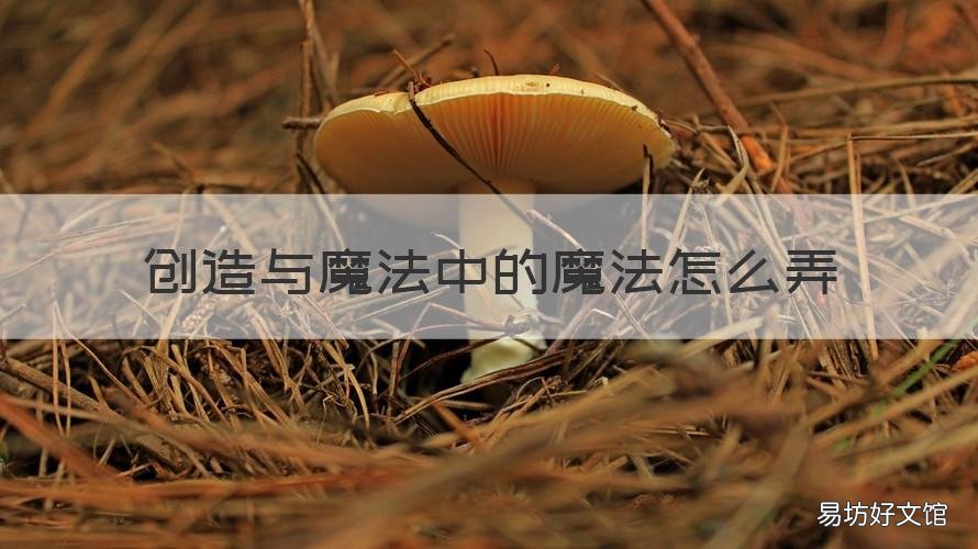 创造与魔法中的魔法怎么弄 创造与魔法中的魔法怎么用