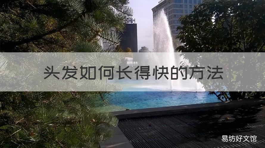 头发如何长得快的方法 头发长的快的方法