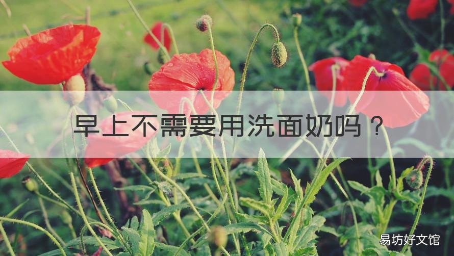 早上不需要用洗面奶吗 早晨该不该用洗面奶