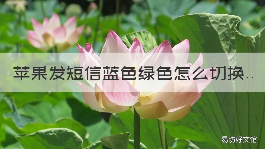 苹果发短信蓝色绿色怎么切换 苹果短信绿色和蓝色怎么切换