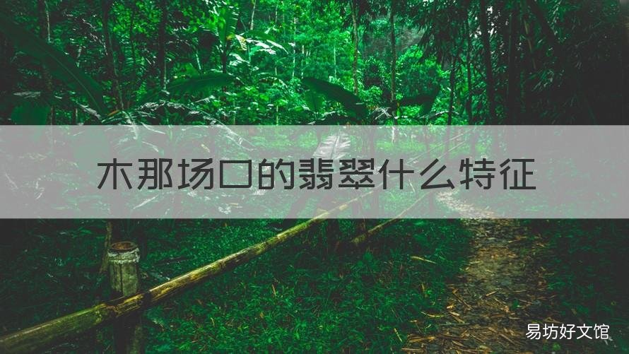 木那场口的翡翠什么特征 木那场口和莫西沙场口的翡翠什么特征