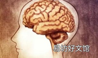 大脑缺氧怎么办 鼻炎导致大脑缺氧怎么办