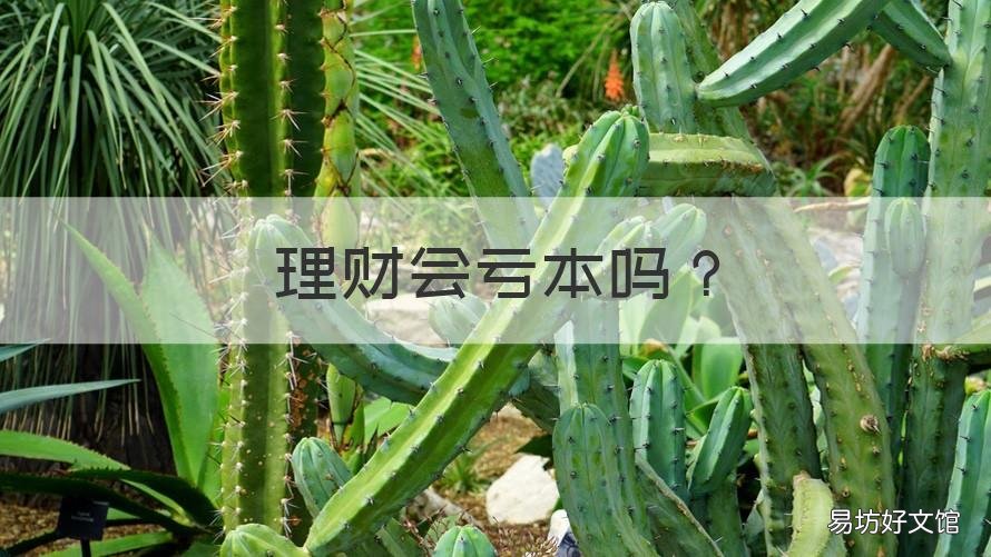 理财会亏本吗 手机银行理财会亏本吗